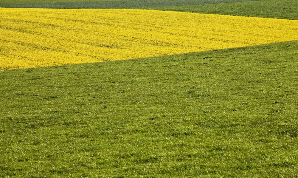 Green pasture coupon code